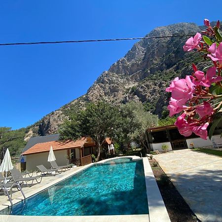 Kidrak Otel Montenegro-1 פאראליה מראה חיצוני תמונה