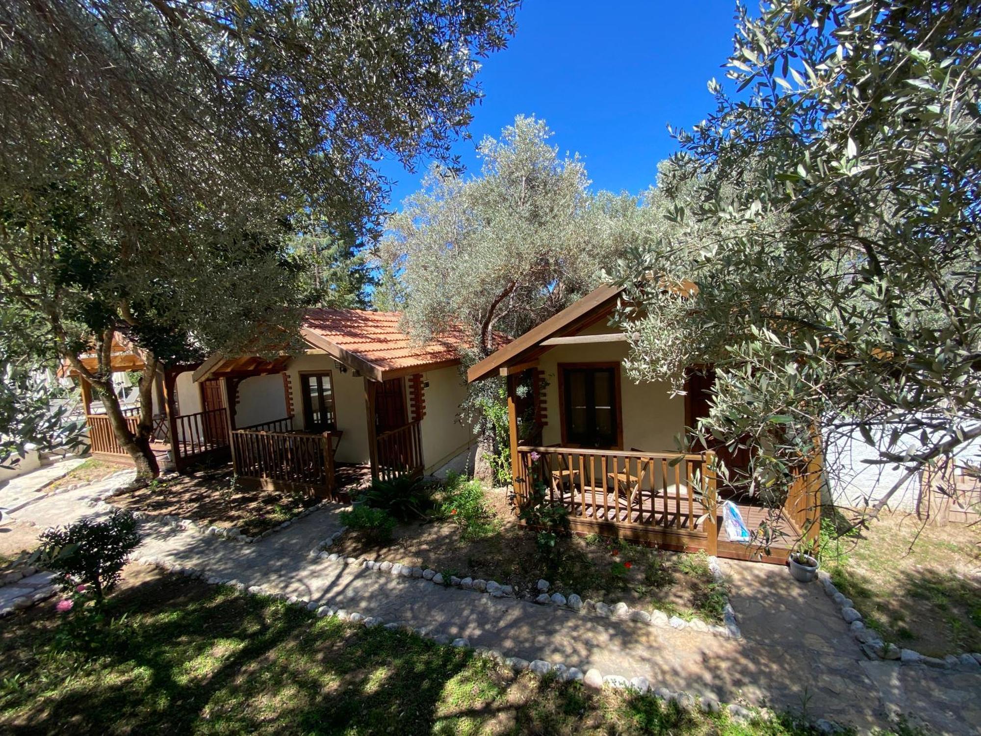 Kidrak Otel Montenegro-1 פאראליה מראה חיצוני תמונה