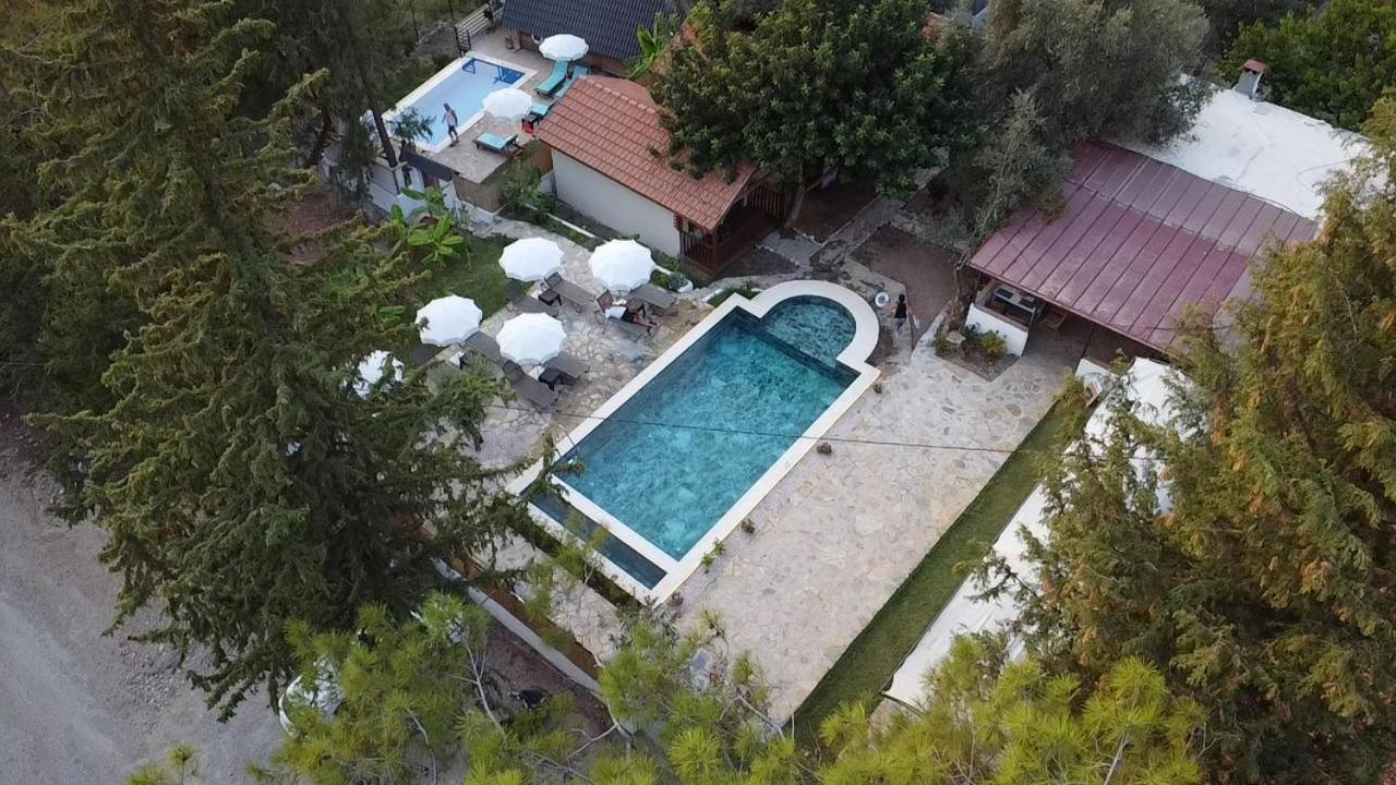 Kidrak Otel Montenegro-1 פאראליה מראה חיצוני תמונה